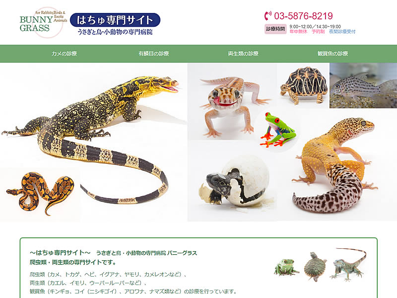 ～はちゅ専門サイト～ うさぎと鳥・小動物の専門病院 バニーグラス