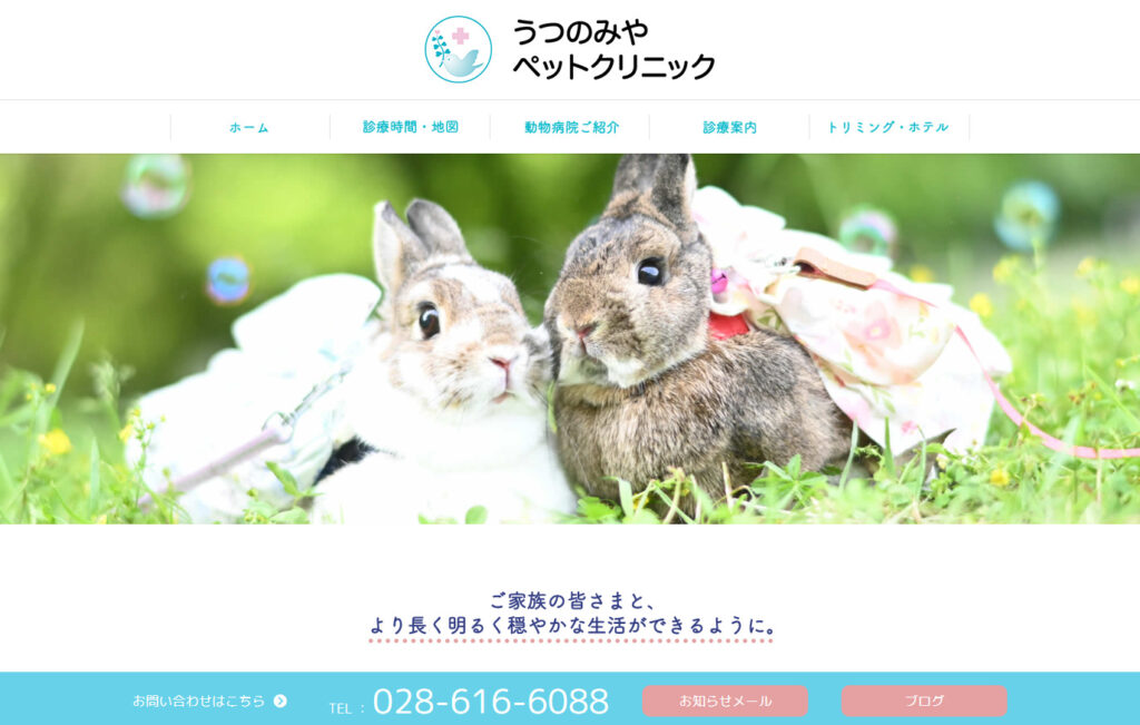 うつのみやペットクリニック