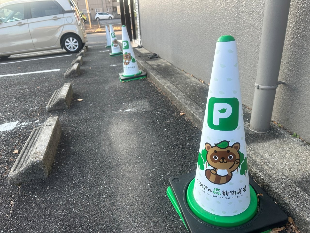POPコーン（R）